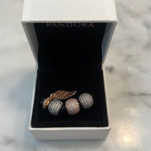 Pandora Charms